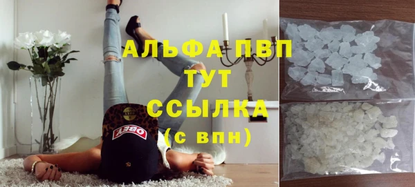 прущие крисы Верея