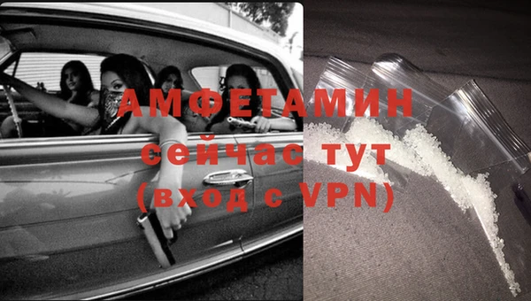 прущие крисы Верея