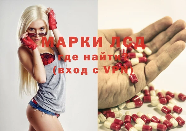 мяу мяу мука Бородино